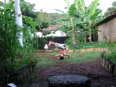 Círculo de bananeiras em um quintal permacultural. Pacoti, Ceará.